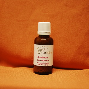 Aquillinum Tarax